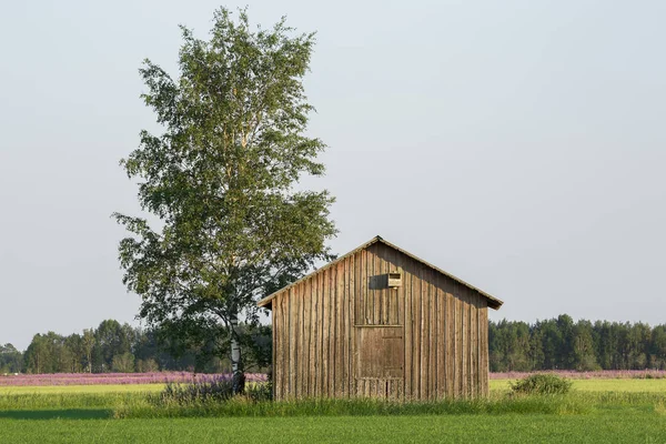 青い空と木で Farmfield の納屋 ストック画像