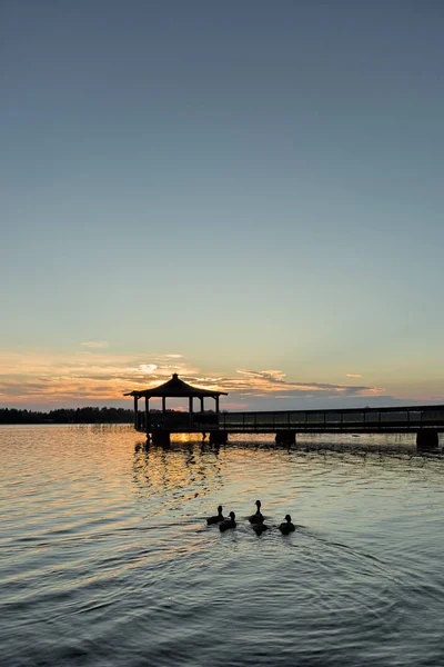 Lusthus Sjön Med Mulardänder Vatten Vid Solnedgången — Stockfoto