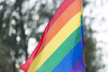 rüzgarda sallayarak Gökkuşağı bayrağı.