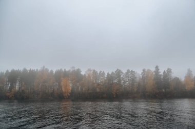 Nehir tarafından sonbaharda ağaçların.