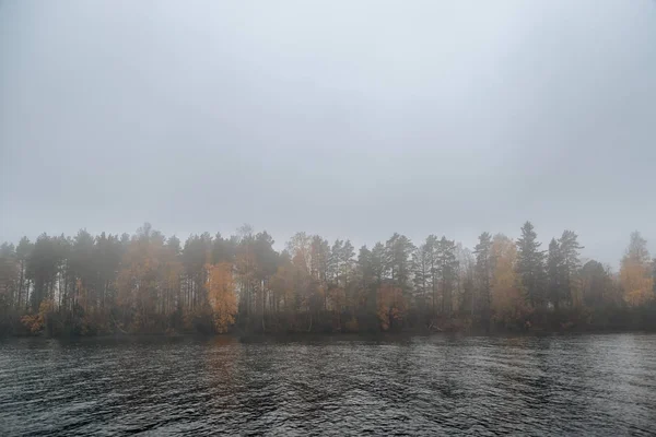 Δεντρο Γραμμή Φθινόπωρο Από Τον Ποταμό — Φωτογραφία Αρχείου