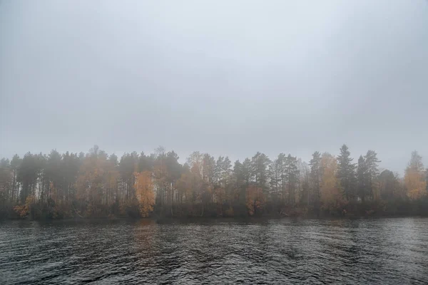 Stromům Podzim Řeky — Stock fotografie