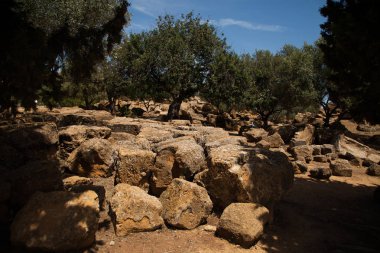 Sicilya, İtalya bölgesindeki Agrigento yakınlarında tapınaklar vadisi harabelerde görünümünü