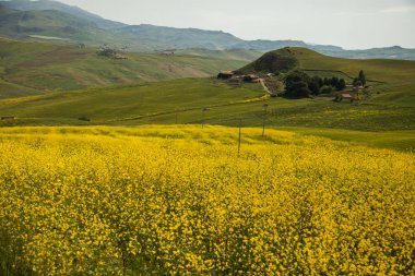 Hill ve Sicilya İtalya Madonie dağlarında dağ manzarası. 