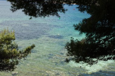 Güzel plaj Mallorca, İspanya. Yaz. Tatil. Deniz suyu.