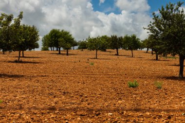 Güzel manzara, Mallorca, İspanya