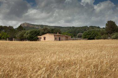 Güzel manzara, Mallorca, İspanya