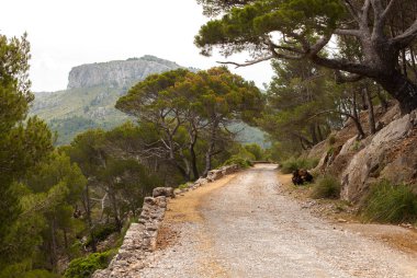 Güzel manzara, Mallorca, İspanya