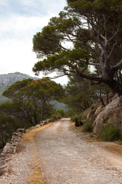 Güzel manzara, Mallorca, İspanya