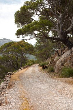 Güzel manzara, Mallorca, İspanya