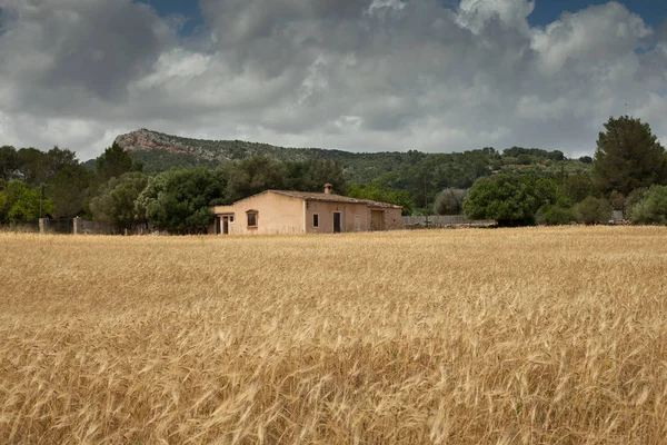 Güzel manzara, Mallorca, İspanya