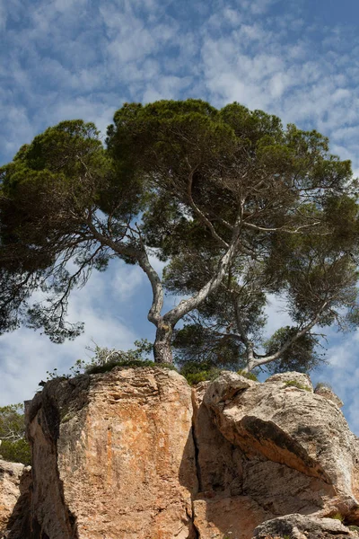 Güzel manzara, Mallorca, İspanya