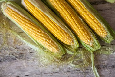 Taze mısır koçanı üzerinde rustik ahşap masa, yakın çekim. Tatlı Mısır kulakları arka plan