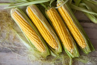 Taze mısır koçanı üzerinde rustik ahşap masa, yakın çekim. Tatlı Mısır kulakları arka plan