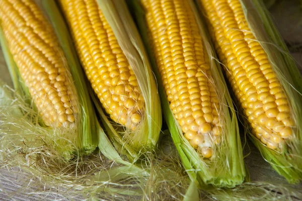 Fresh Corn Cobs Rustic Wooden Table Close Sweet Corn Ears — Stock Photo, Image