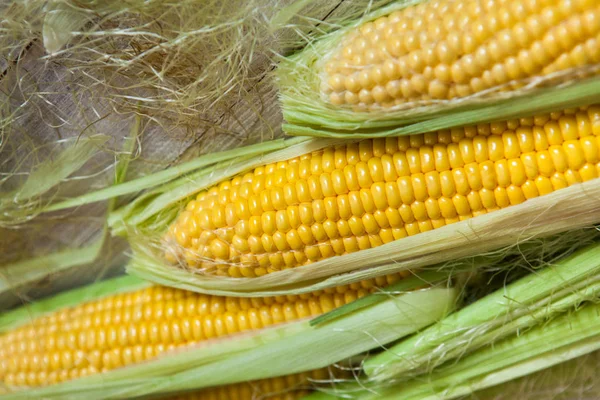 Fresh Corn Cobs Rustic Wooden Table Close Sweet Corn Ears — Stock Photo, Image