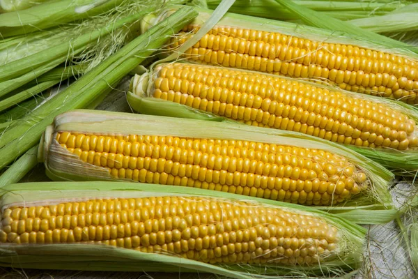 Fresh Corn Cobs Rustic Wooden Table Close Sweet Corn Ears — Stock Photo, Image