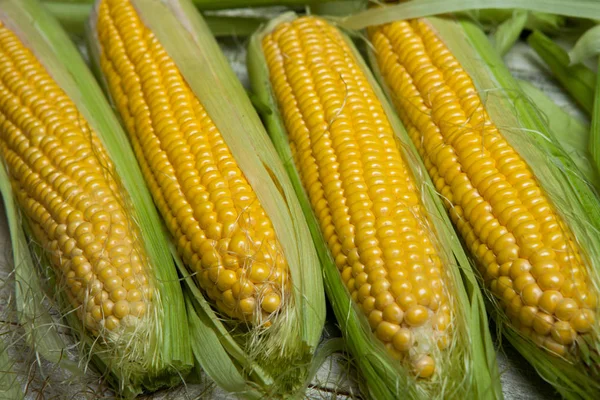 Fresh corn on cobs on rustic wooden table, close up. Sweet corn ears background