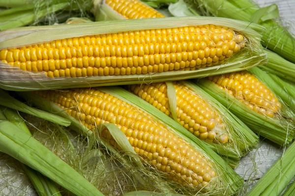 Fresh Corn Cobs Rustic Wooden Table Close Sweet Corn Ears — Stock Photo, Image