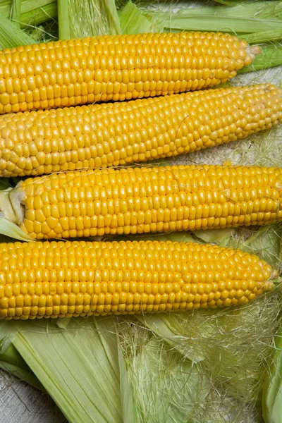 Fresh Corn Cobs Rustic Wooden Table Close Sweet Corn Ears — Stock Photo, Image