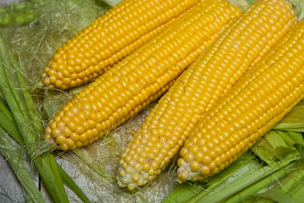 Fresh corn on cobs on rustic wooden table, close up. Sweet corn ears background