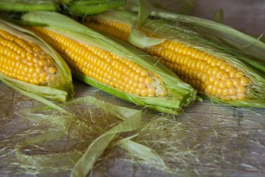 Taze mısır koçanı üzerinde rustik ahşap masa, yakın çekim. Tatlı Mısır kulakları arka plan