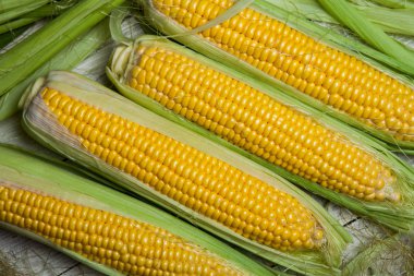 Taze mısır koçanı üzerinde rustik ahşap masa, yakın çekim. Tatlı Mısır kulakları arka plan