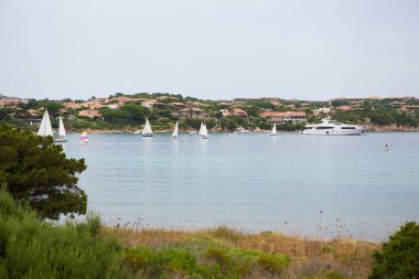 Turkuaz rengini ve saydamlığını denizin çevresinde Adası La Maddalena, Sardunya. Güzel ve temiz plaj