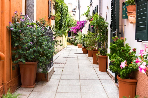 Hermosa Calle Decorada Con Flores Italia — Foto de Stock