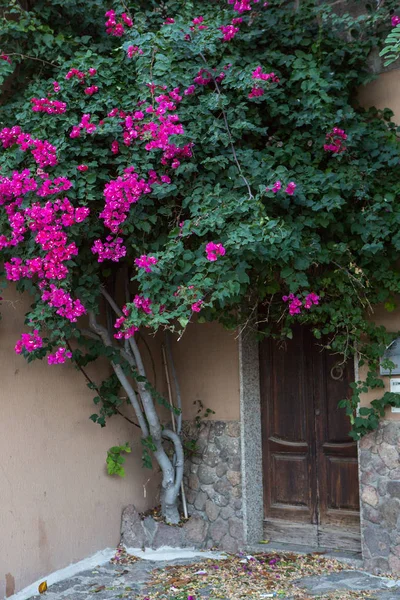 Vackra Gatan Dekorerad Med Blommor Italien — Stockfoto