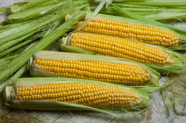 Taze mısır koçanı üzerinde rustik ahşap masa, yakın çekim. Tatlı Mısır kulakları arka plan