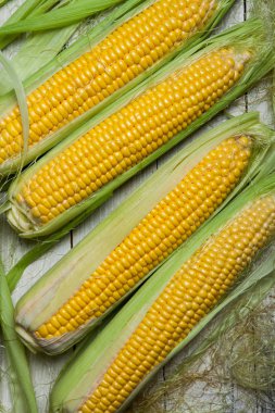 Taze mısır koçanı üzerinde rustik ahşap masa, yakın çekim. Tatlı Mısır kulakları arka plan