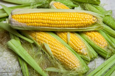 Taze mısır koçanı üzerinde rustik ahşap masa, yakın çekim. Tatlı Mısır kulakları arka plan