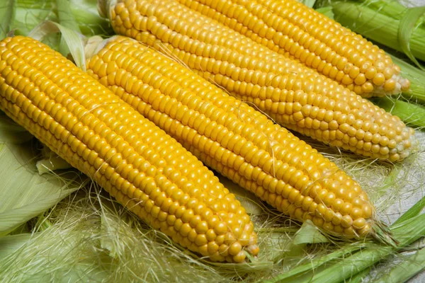 Fresh corn on cobs on rustic wooden table, close up. Sweet corn ears background