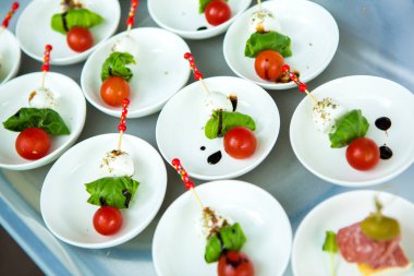 Gıda düğün olay tablo yemek servisi. Büfe doğrultusunda düğün. Lezzetli meze yakın çekim. 