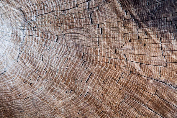 Dark wooden texture. Wood brown texture. Background old panels. Retro wooden table. Rustic background. Vintage colored surface.