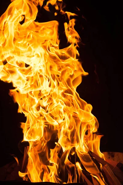 Fire flames background. blaze fire flame texture background. Burning fire flame background