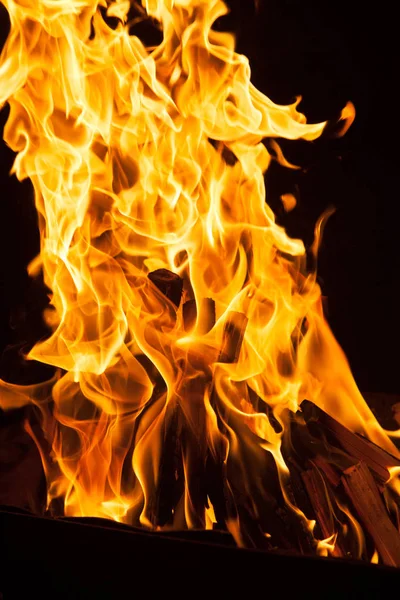 Fire flames background. blaze fire flame texture background. Burning fire flame background