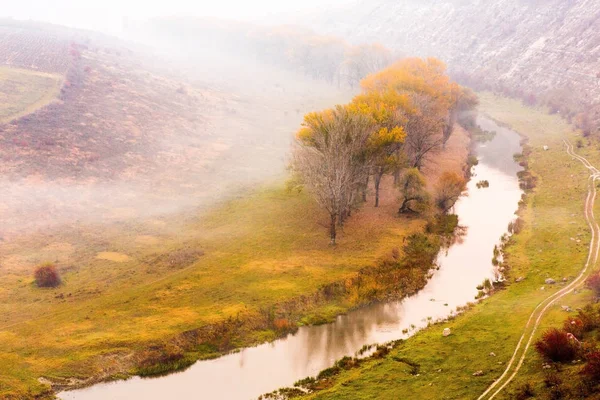 Vackert Höstlandskap Republiken Moldavien Höstens Natur Färgade Träd — Stockfoto