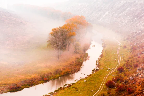Piękny Krajobraz Jesień Republice Mołdowy Jesień Natura Kolorowe Drzewa — Zdjęcie stockowe