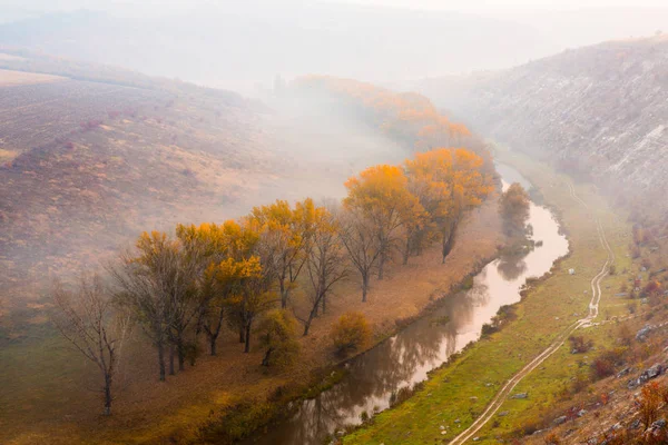 Красивый Осенний Пейзаж Республике Молдова Осенняя Природа Цветные Деревья — стоковое фото