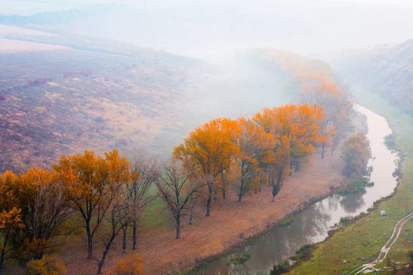 Moldova Cumhuriyeti Güzel Sonbahar Manzara Sonbahar Doğa Renkli Ağaçlar — Stok fotoğraf