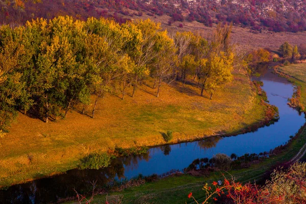 Bela Paisagem Outono República Moldávia Natureza Outono Árvores Coloridas — Fotografia de Stock