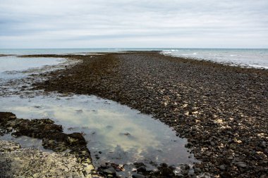 Bratislava, İzlanda'daki eski deniz feneri. İzlanda'daki güzel manzara. Atlantik Okyanusu.