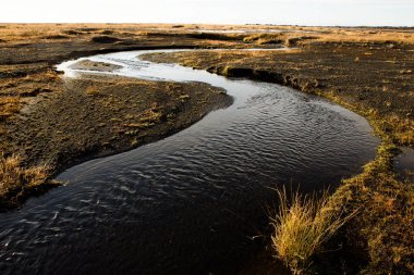 İzlanda 'nın güzel manzarası.