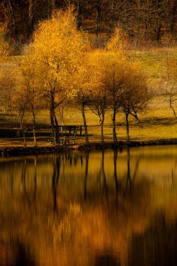 Sonbahar manzara güzel ağaçlar güneş ışığında parlayan Nehri, renkli. Harika pitoresk arka plan. doğada renk. Suda kendi yansıması ile parlak sonbahar ağaçlar