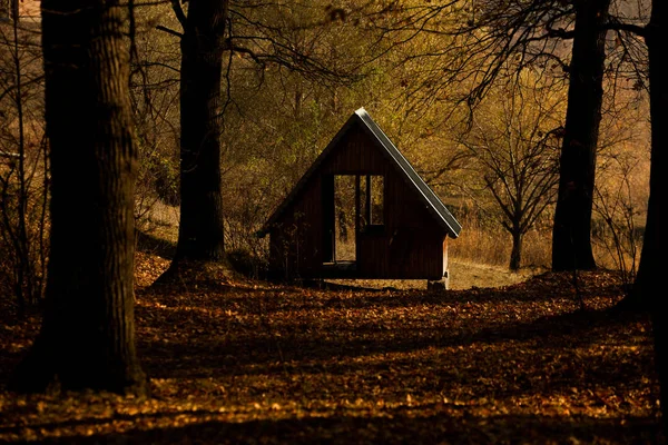 Бревенчатом Старый Одинокий Дом Фото Необычного Дома Лесу Брошенный Одноместный — стоковое фото
