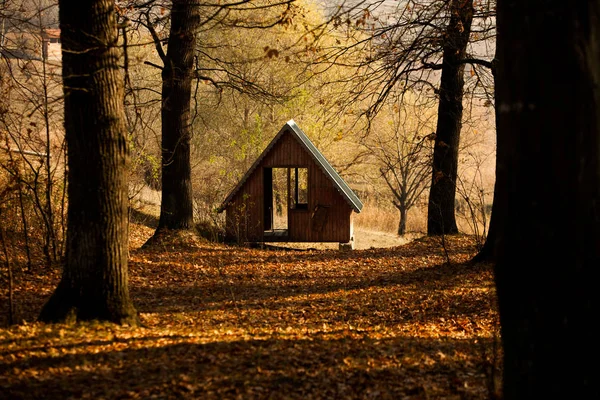 Log house. Old single house. Photo of an unusual house in the forest. Abandoned single small house in foreste.