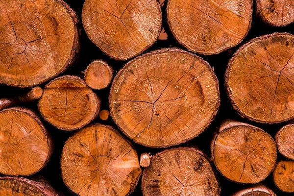 Cut Tree Timber Background Image Cut Tree Pile Wood Logs — Stock Photo, Image