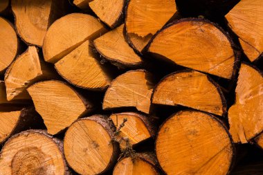 Ağaç kerestesi kes. Kesilmiş bir ağacın arka plan görüntüsü. Odun kütükleri yığını. Doğal ahşap arka plan.